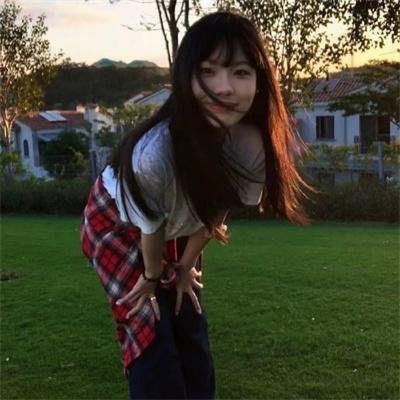 都柏林动物
